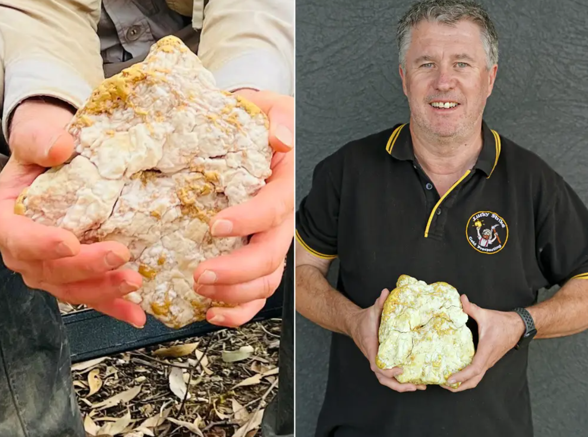 Amateur gold prospector with his Equinox 800 discovers a multi-million dollar gold nugget